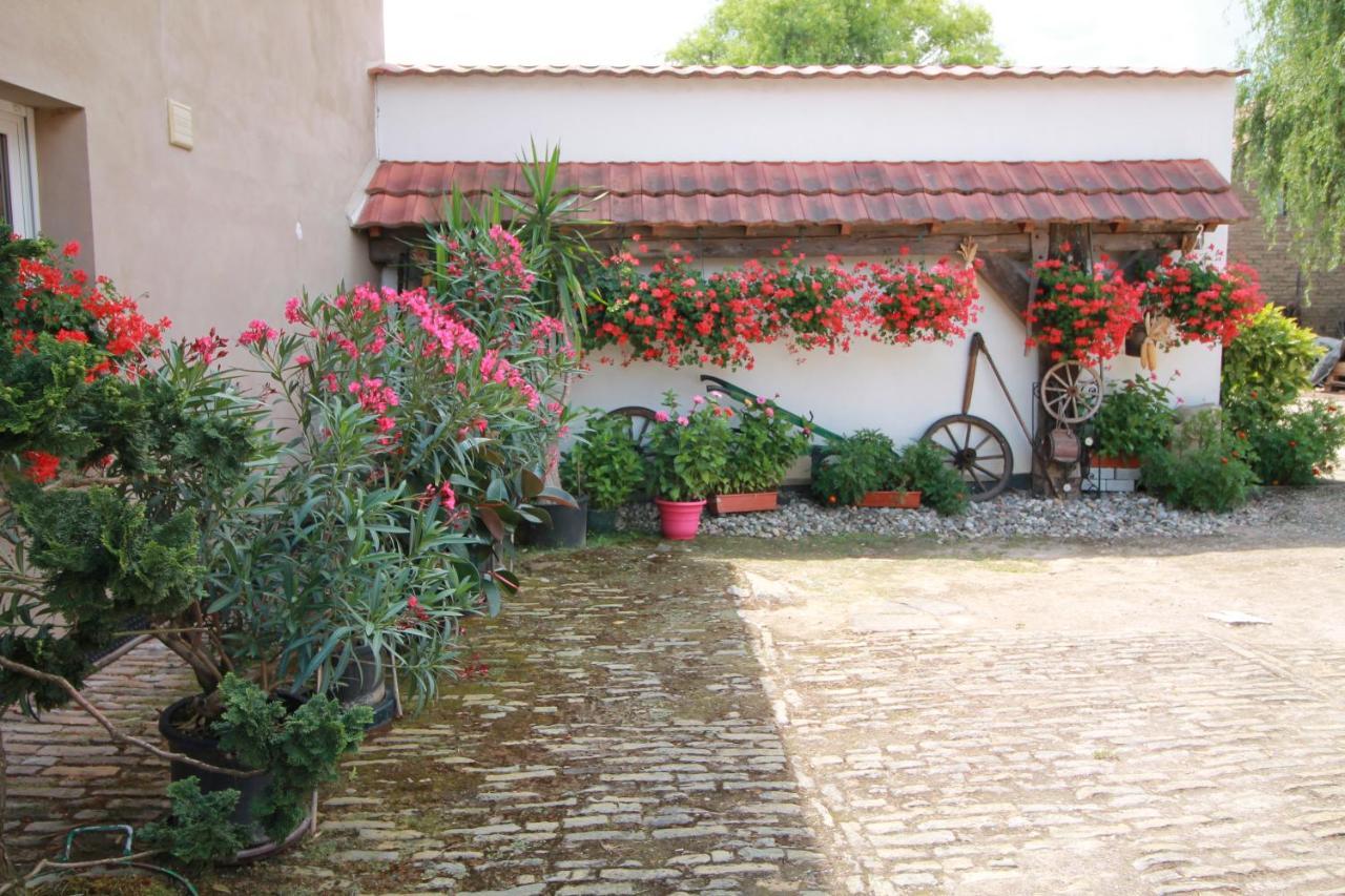 La Chambre Aux Hirondelles Ittenheim ภายนอก รูปภาพ