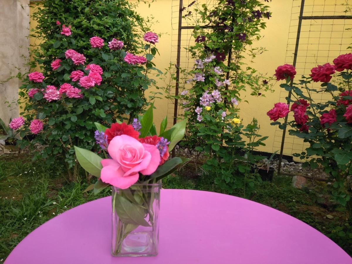 La Chambre Aux Hirondelles Ittenheim ภายนอก รูปภาพ