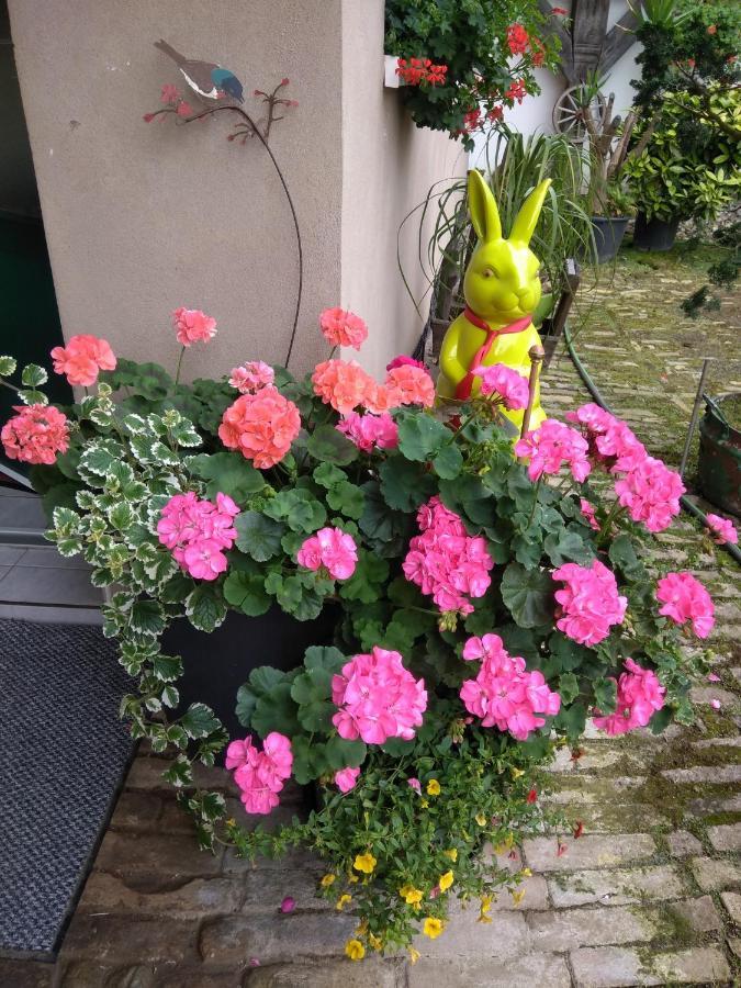 La Chambre Aux Hirondelles Ittenheim ภายนอก รูปภาพ
